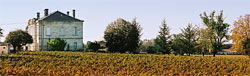 Le Ch&acirc;teau Reignac et ses vignes